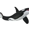 Orca