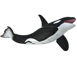 Orca