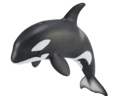 Orca Calf