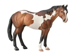 Paint Horse | Bay Overo