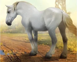 Percheron Mare | Grey
