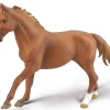 Phar Lap, Thoroughbred Racehorse | Chestnut
