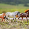 Playful Pony Family