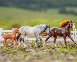 Playful Pony Family