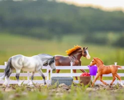 Playful Pony Family