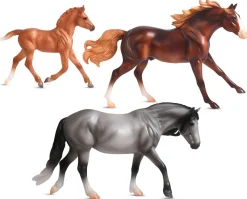 Playful Pony Family