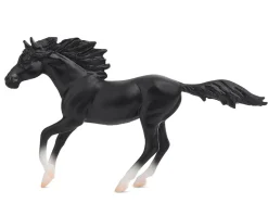 Poetry in Motion Gift Set