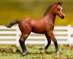 Quarter Horse Foal | Bay