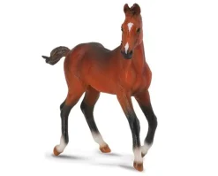 Quarter Horse Foal | Bay