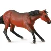 Quarter Horse Stallion | Bay