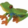 Red-Eyed Tree Frog