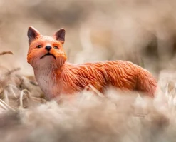 Red Fox