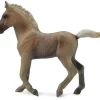 Rocky Mountain Horse Foal | Chocolate
