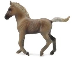 Rocky Mountain Horse Foal | Chocolate