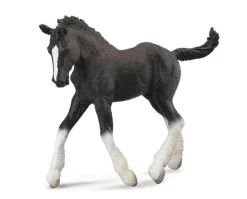 Shire Foal | Black