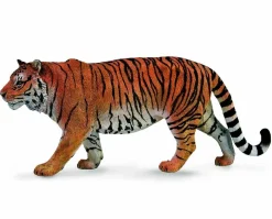 Siberian Tiger