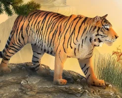 Siberian Tiger