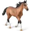 Standardbred Pacer Stallion | Bay