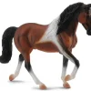 Tennessee Walking Horse Stallion | Bay Pinto