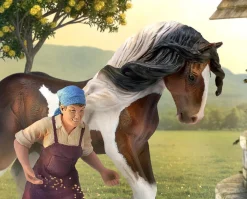 Tinker Stallion