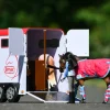 Traditional Series Two-Horse Trailer