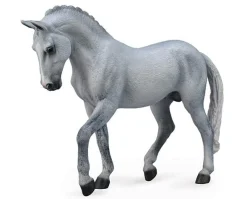Trakehner Stallion | Grey