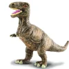Tyrannosaurus Rex Baby