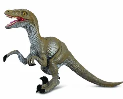 Velociraptor