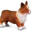 Welsh Corgi