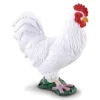 White Cockerel (Rooster)