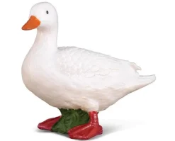 White Duck