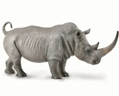 White Rhinoceros