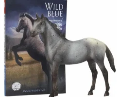 Wild Blue Book and Model Set