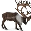 Woodland Caribou